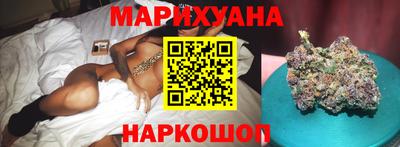 сатива Моздок