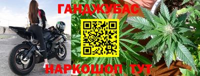 сатива Моздок