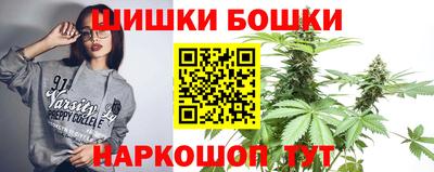 сатива Моздок