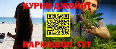сатива Моздок