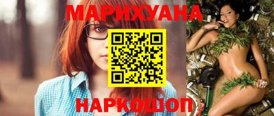 сатива Моздок