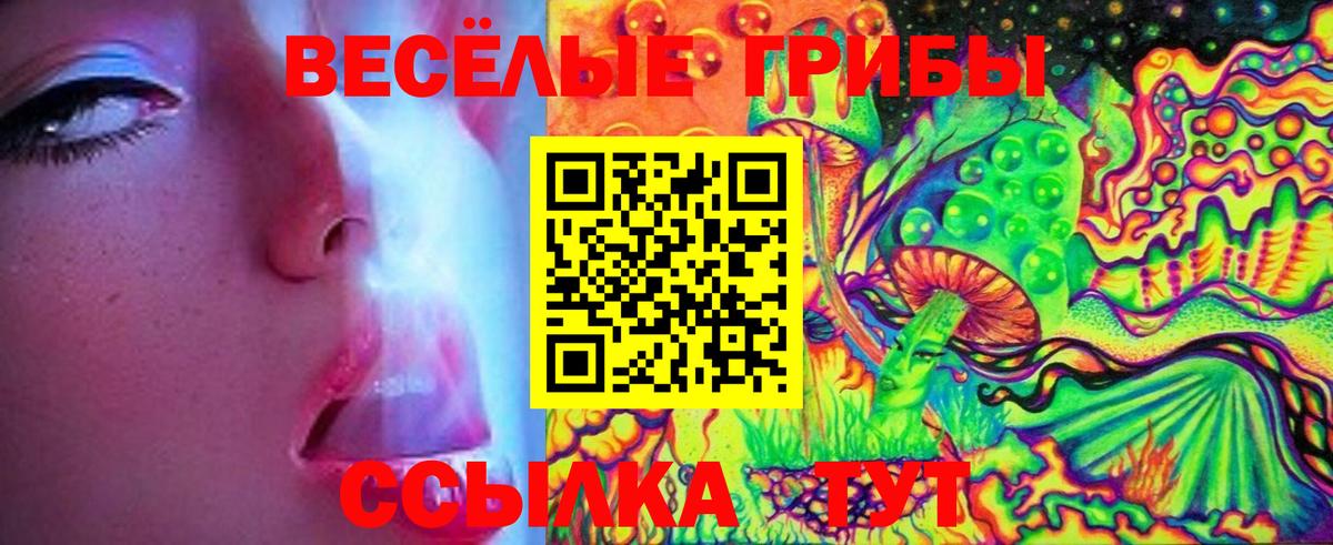 Псилоцибиновые грибы Cubensis Сызрань